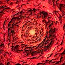파일:Phoenix Virus_1.webp