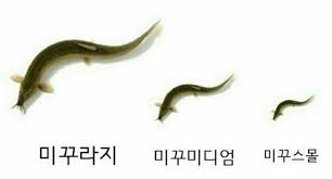 파일:미꾸.jpeg