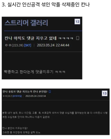 파일:칸나악플제거.png