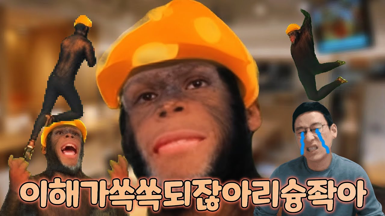 파일:이해가쏙쏙되잖아리슝좍아.jpg