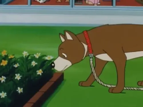 파일:퉁퉁이애완견뭉뭉이.webp