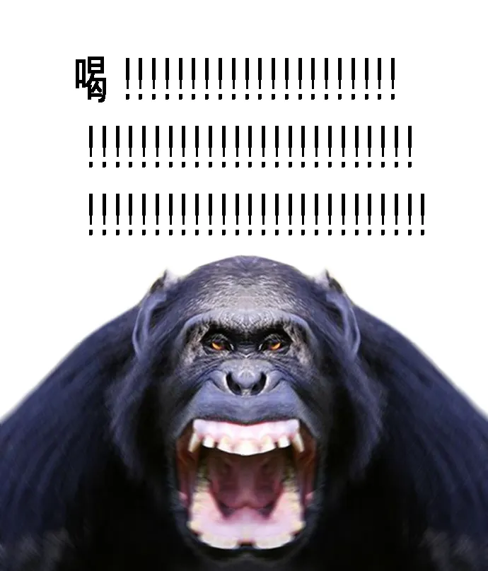 파일:갈.webp