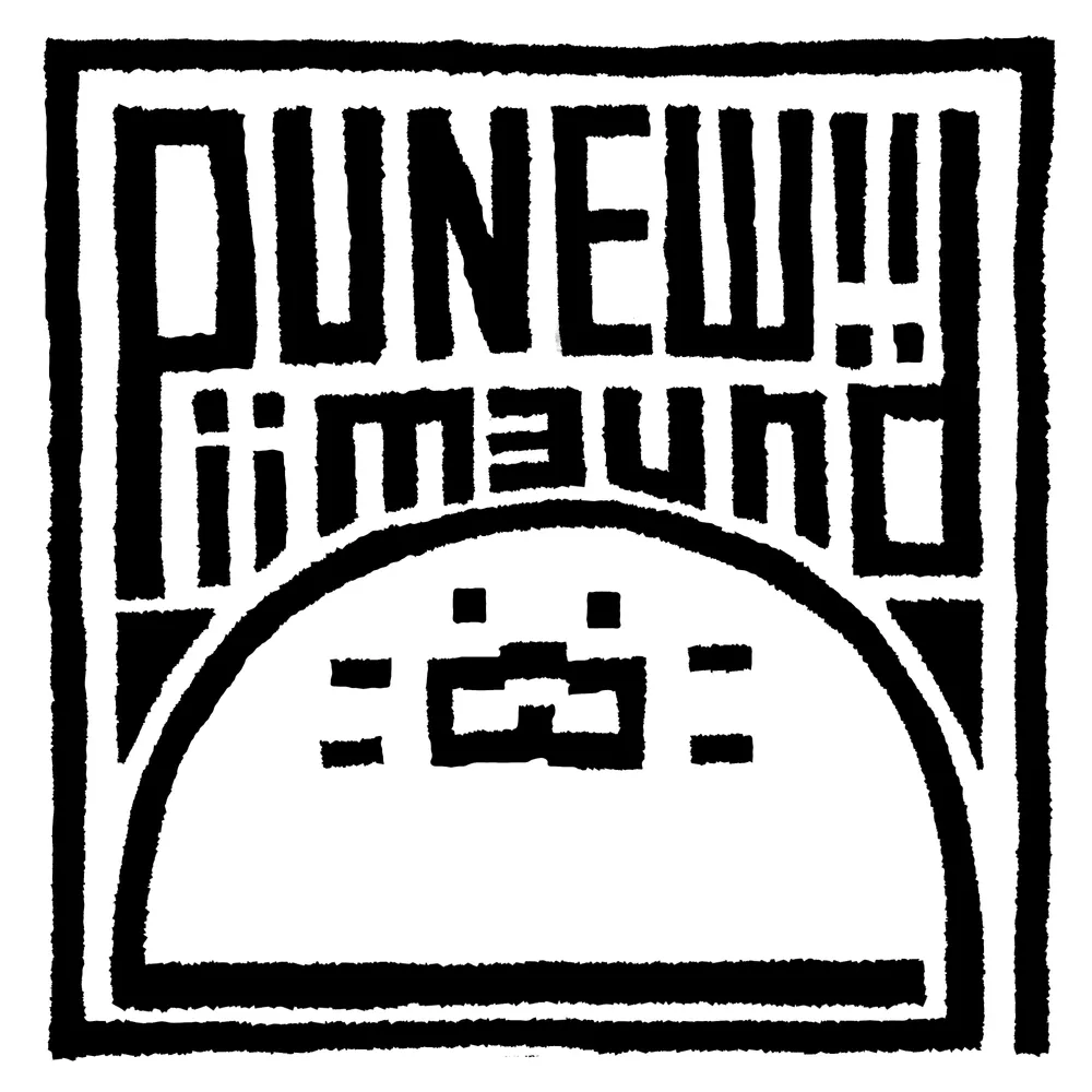 파일:PUNEW PROFIEL.webp