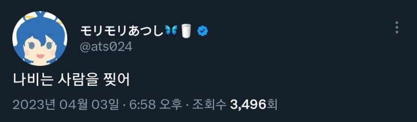 파일:나비는사람을.jpg