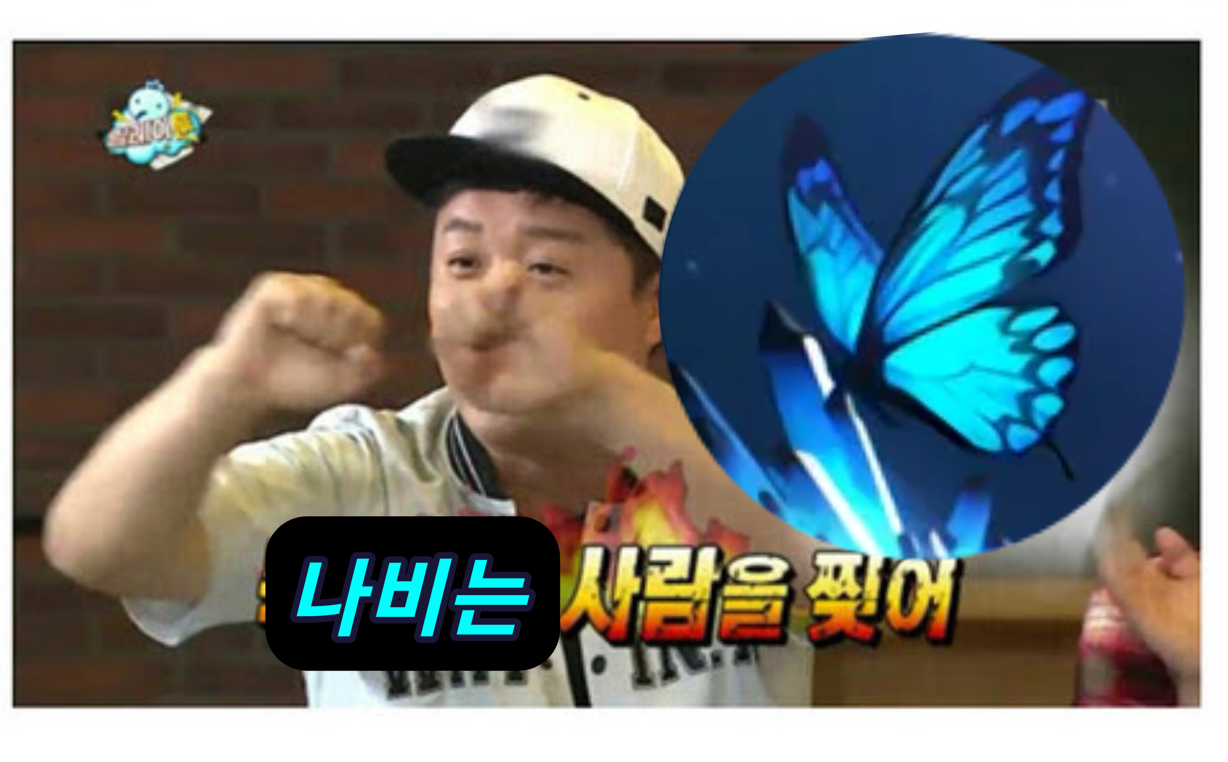 파일:나비는사람을찢어.png