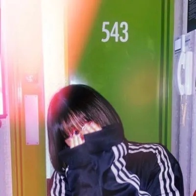 파일:ninzin.webp