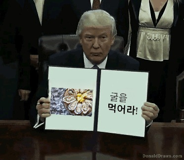파일:도널드트럼프.jpg