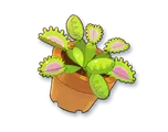 파일:선물_26.webp