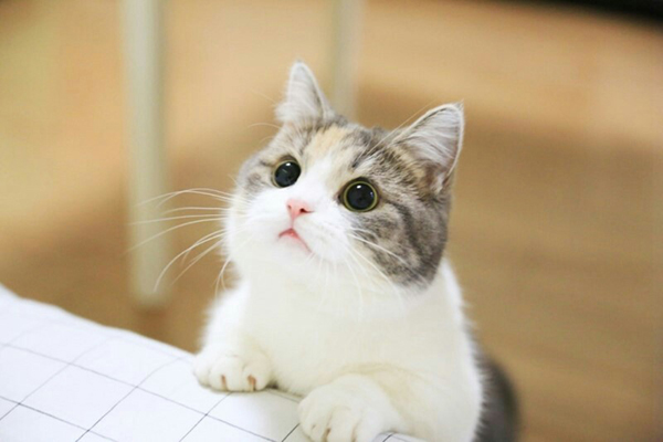파일:92969_25283_5321.jpg